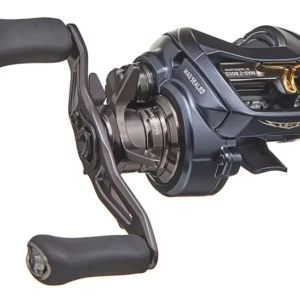 Daiwa Steez A TW 100H